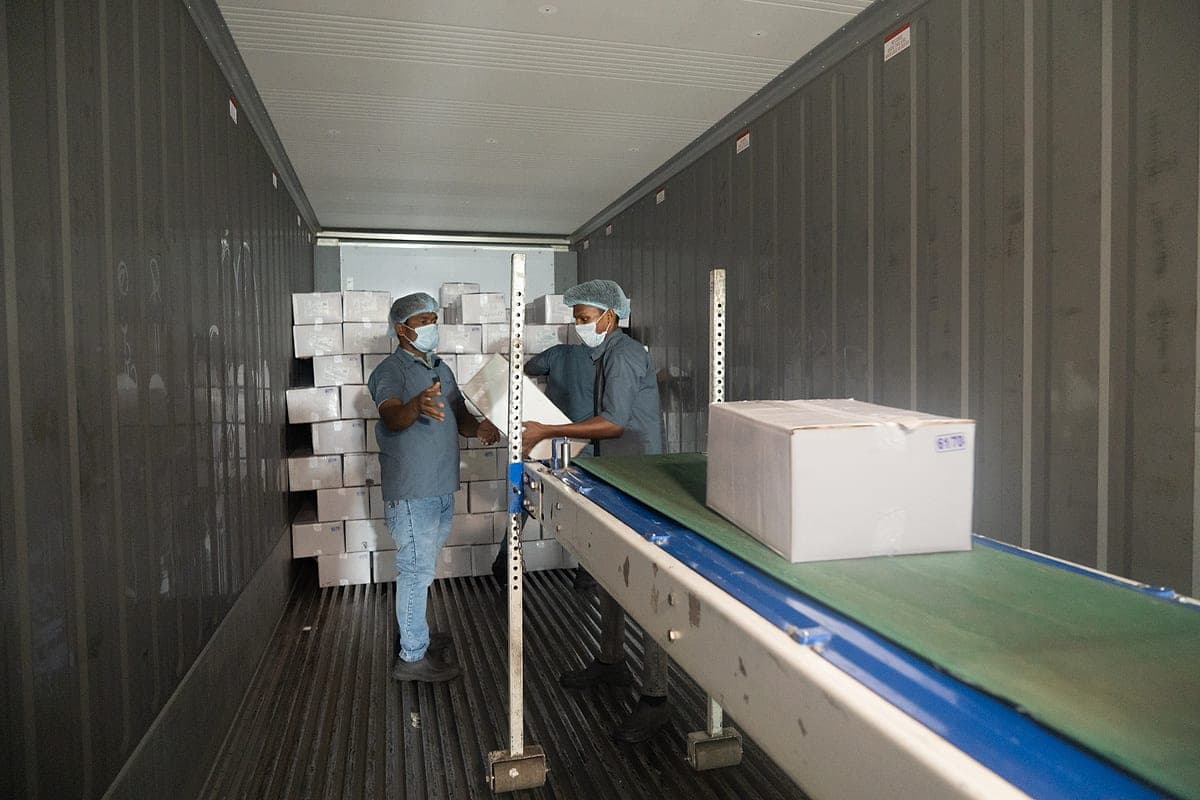 Loaded for export