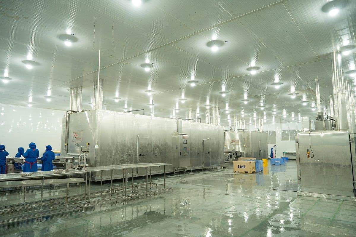 IQF freezer hall