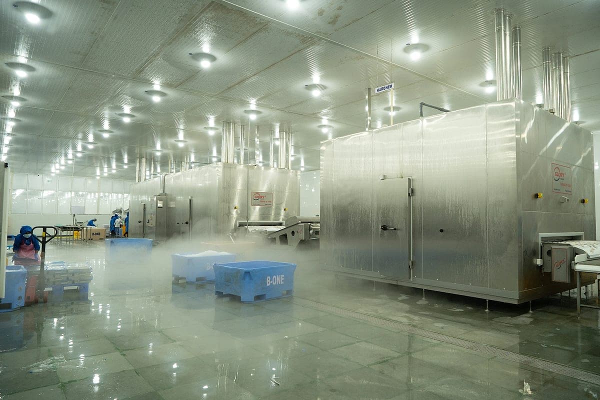 Inside the processing hall