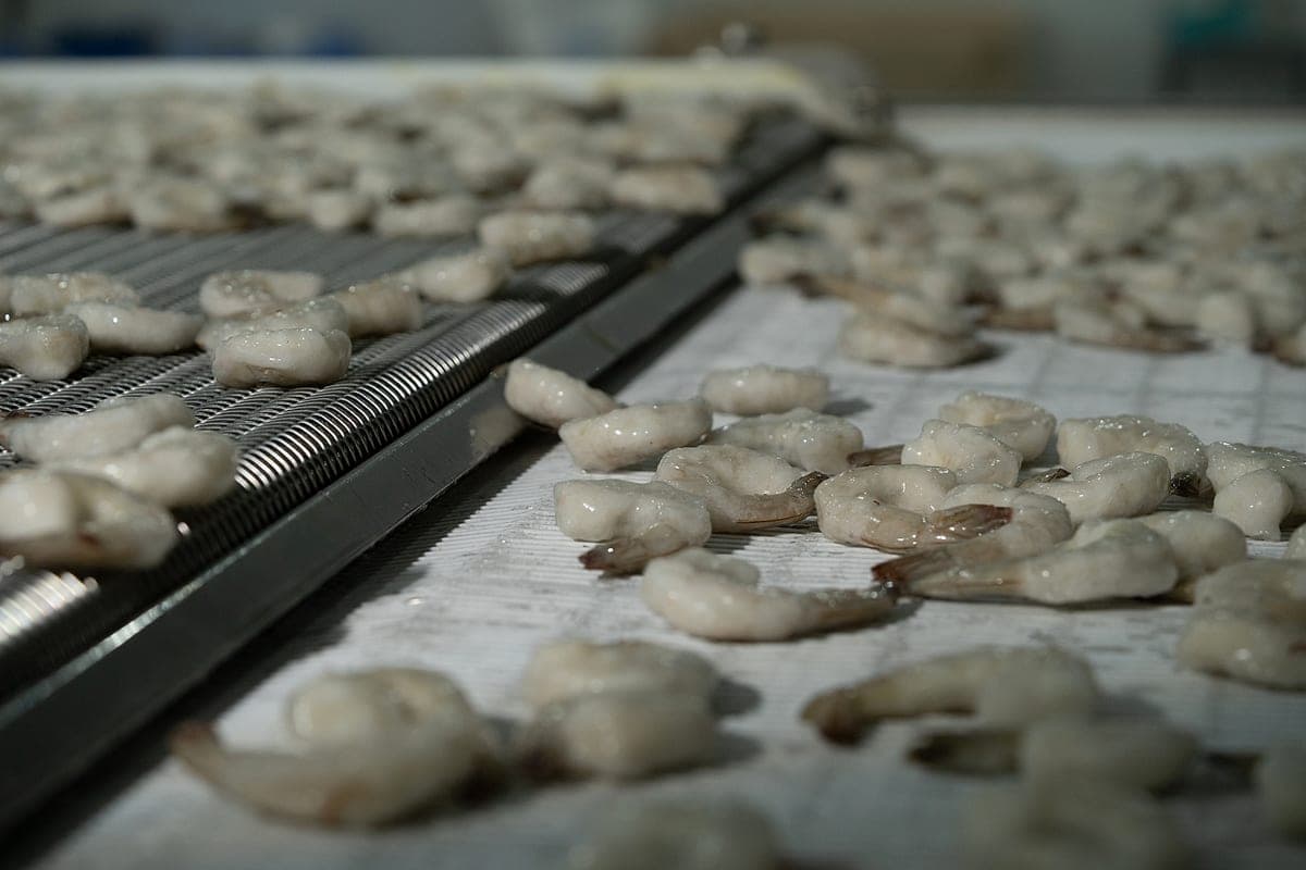 Peeled & deveined