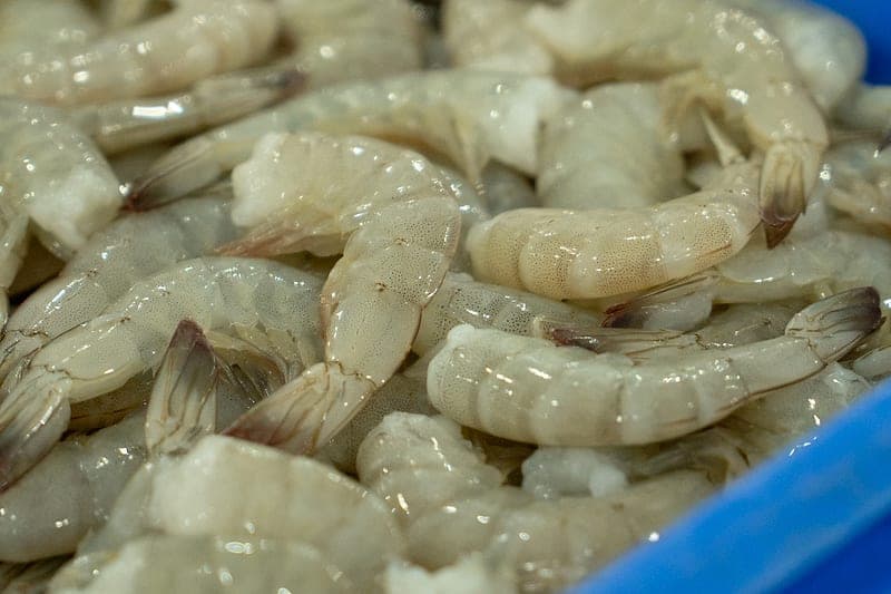 Raw Material: process step