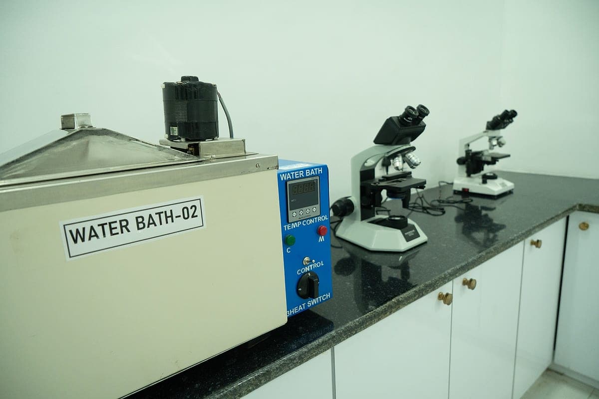 Sample inspection