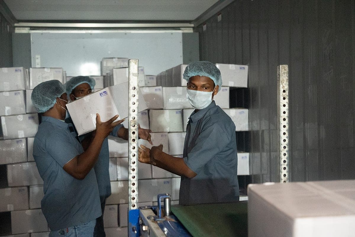 Packing & dispatch