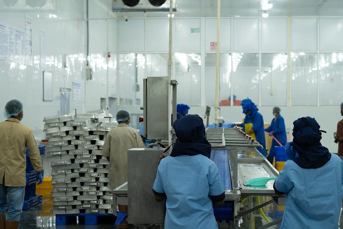 On the processing floor